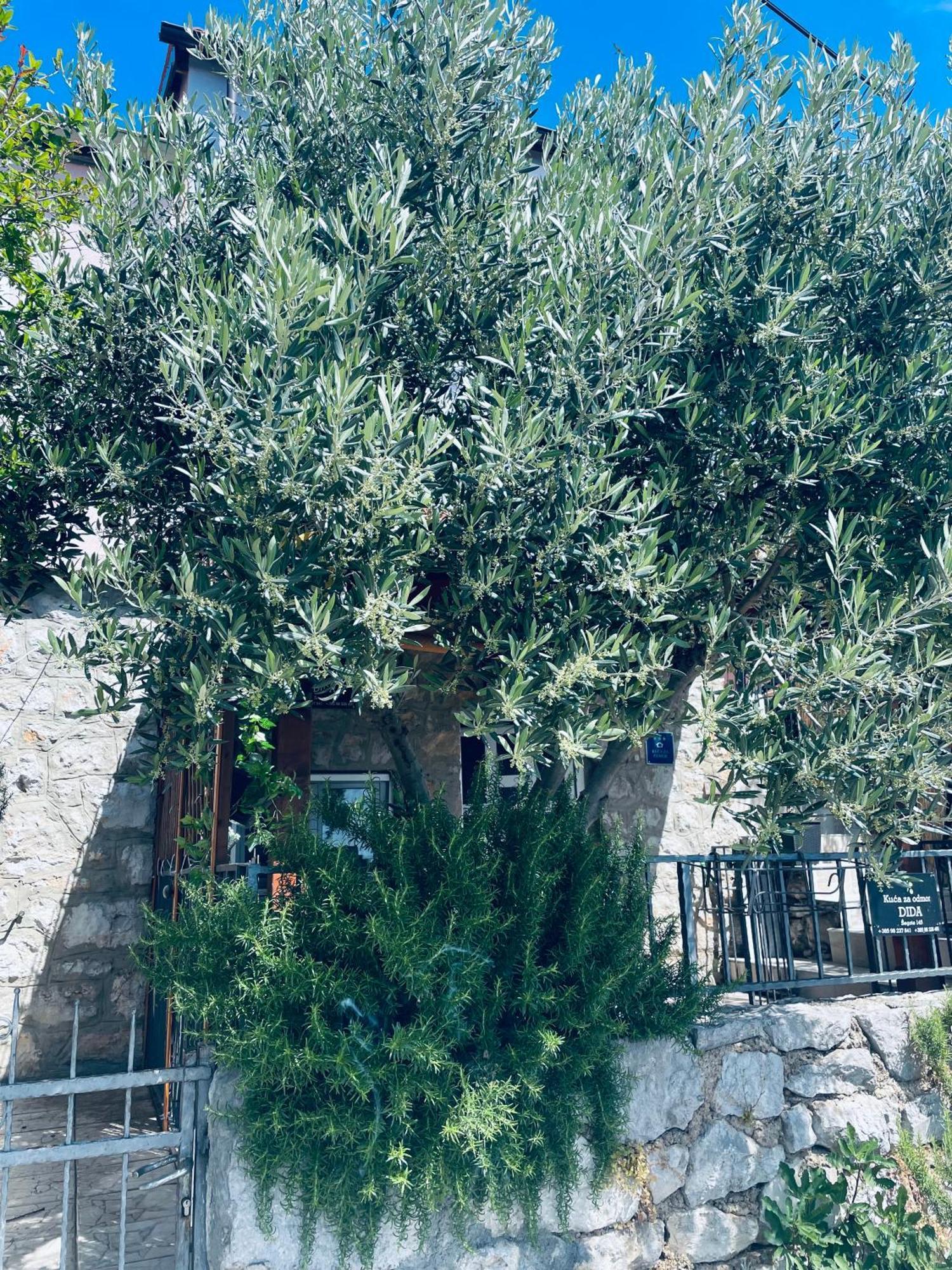Kuca Za Odmor “Dida” Villa สตินิกา ภายนอก รูปภาพ